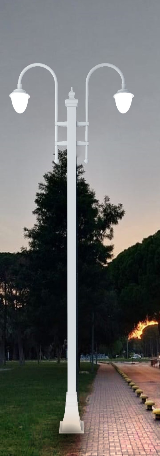 Glowrio Electrical Light 24E018